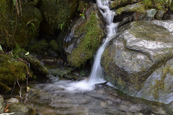 看著从山上流下来的涓涓流水,忍不住将手伸入,让那泉水沁透冰凉