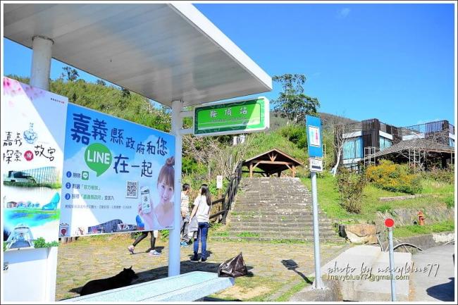 嘉義番路 隙頂二延平步道 茶霧之道o形串走 尋訪嘉義最美茶園 Mysports運動社群平台